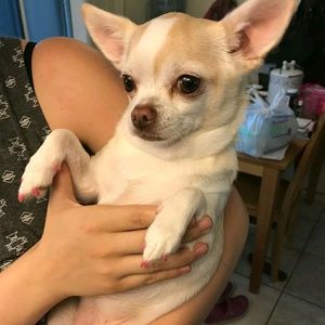 Meet your Posher, Madison